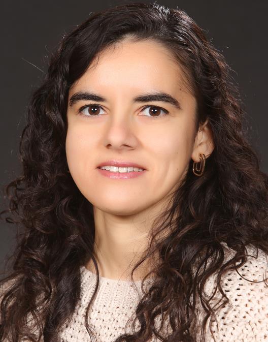 DİLEM DİNÇ